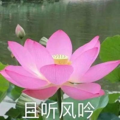 1月20日黑龙江新增153例阳性 其中85例无症状